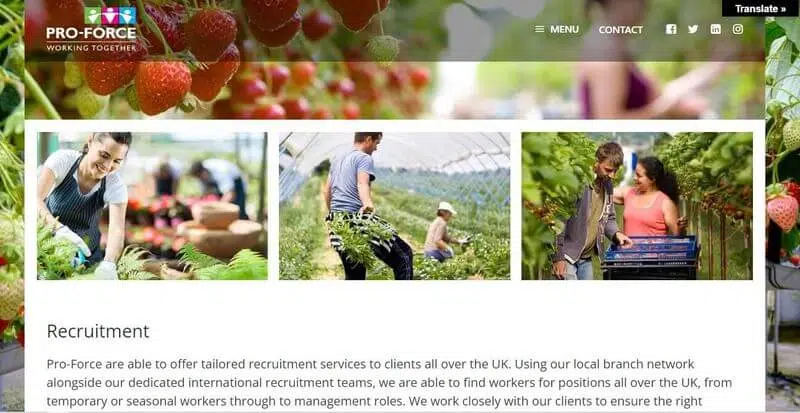 List of Operators to Find Work for UK Seasonal Visa 4 Pro-Force - seasonal work visa recruiter 2023 help you find job in UK