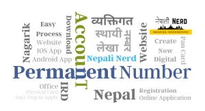 Pan Card Online from Nagarik App